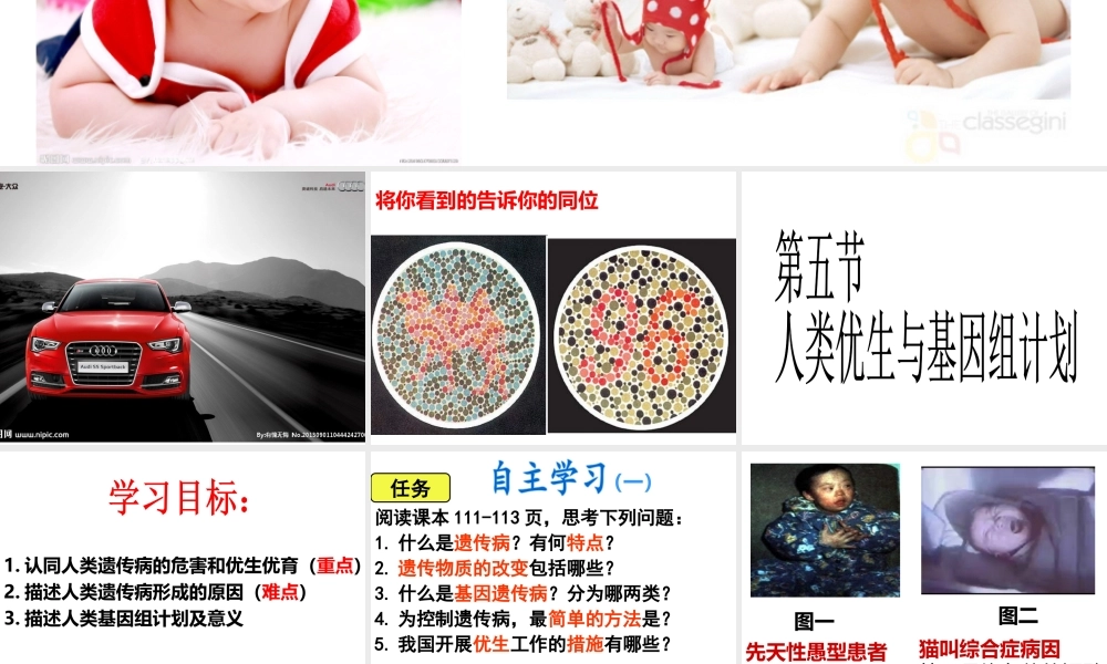 八年级生物上册 4.4.5《人类优生与基因组计划》课件2 （新版）济南版-（新版）济南级上册生物课件