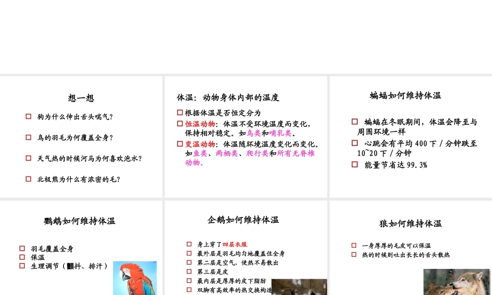 八年级生物上册 4.4《动物的体温与饲舍温度》课件1 冀教版