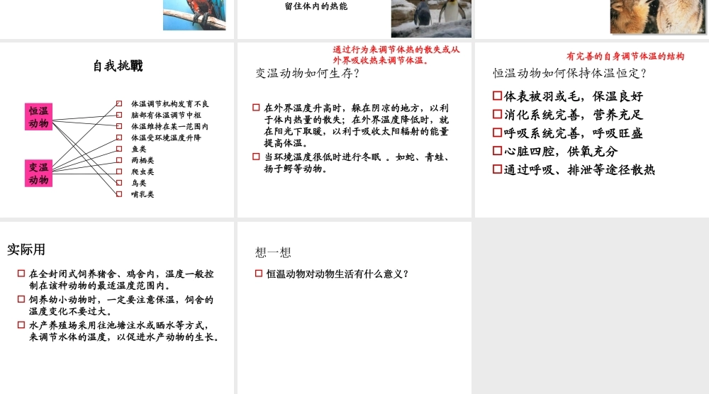 八年级生物上册 4.4《动物的体温与饲舍温度》课件1 冀教版