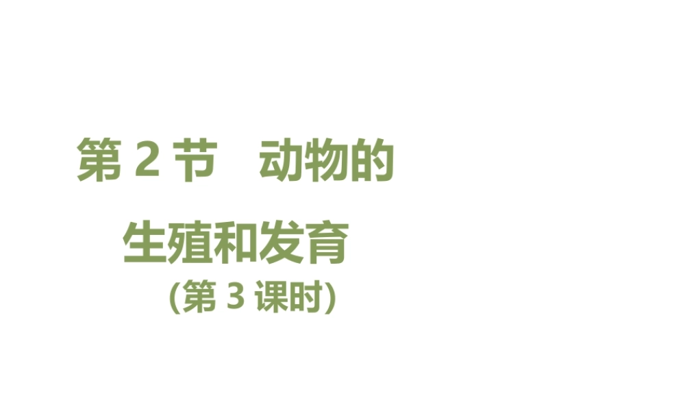 八年级生物上册 19.2 动物的生殖和发育（第3课时）课件（1）（新版）北师大版-（新版）北师大版初中八年级上册生物课件