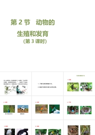 八年级生物上册 19.2 动物的生殖和发育（第3课时）课件（1）（新版）北师大版-（新版）北师大版初中八年级上册生物课件