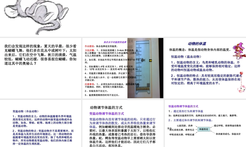 八年级生物上册 4.4《动物的体温与饲舍温度》课件2 冀教版