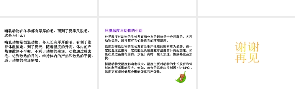 八年级生物上册 4.4《动物的体温与饲舍温度》课件2 冀教版