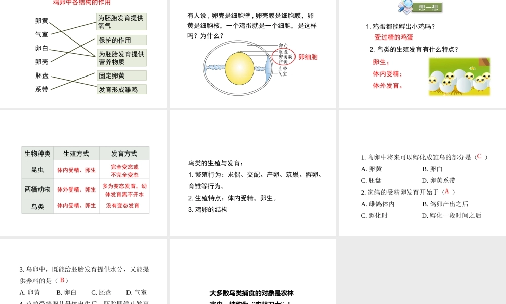 八年级生物上册 19.2 动物的生殖和发育（第3课时）课件（1）（新版）北师大版-（新版）北师大级上册生物课件