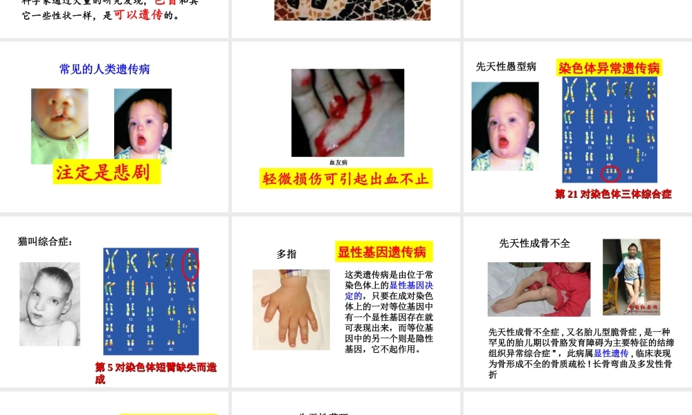 八年级生物上册 4.5 人类优生与基因组计划课件 （新版）济南版