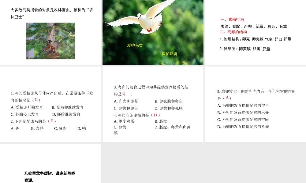 八年级生物上册 19.2 动物的生殖和发育（第3课时）课件（2）（新版）北师大版-（新版）北师大版初中八年级上册生物课件