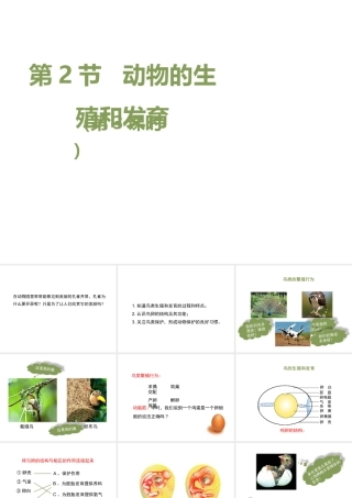 八年级生物上册 19.2 动物的生殖和发育（第3课时）课件（2）（新版）北师大版-（新版）北师大版初中八年级上册生物课件
