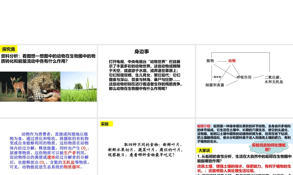 八年级生物上册 4.7《动物在生物圈中的作用》课件1 冀教版