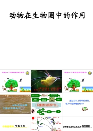 八年级生物上册 4.7《动物在生物圈中的作用》课件2 冀教版