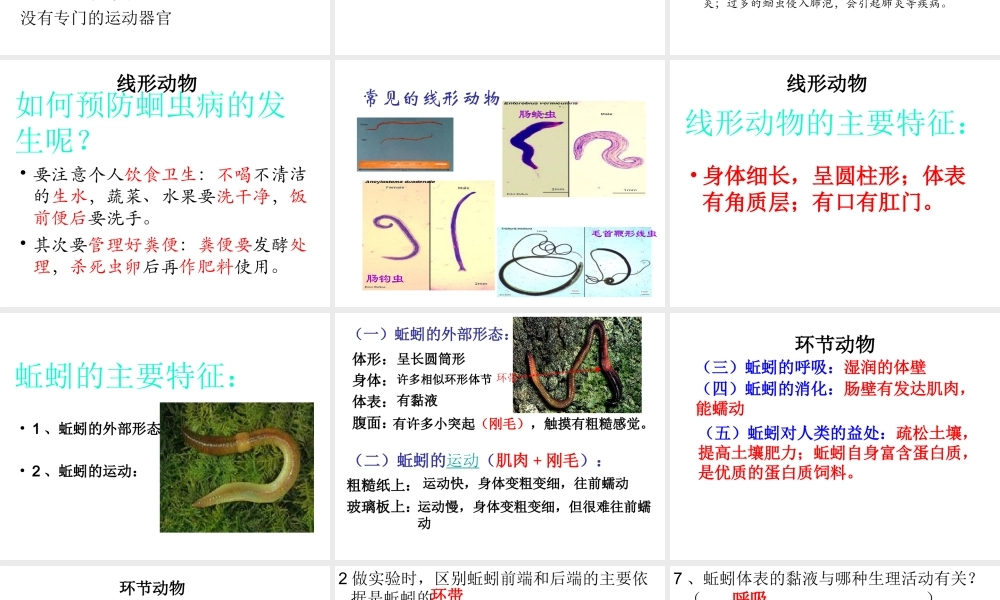 八年级生物上册 5.1.2 线形动物和环节动物课件（1） （新版）新人教版