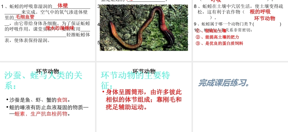 八年级生物上册 5.1.2 线形动物和环节动物课件（1） （新版）新人教版