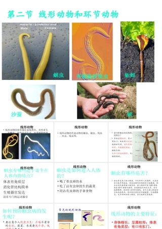 八年级生物上册 5.1.2 线形动物和环节动物课件（1） （新版）新人教版