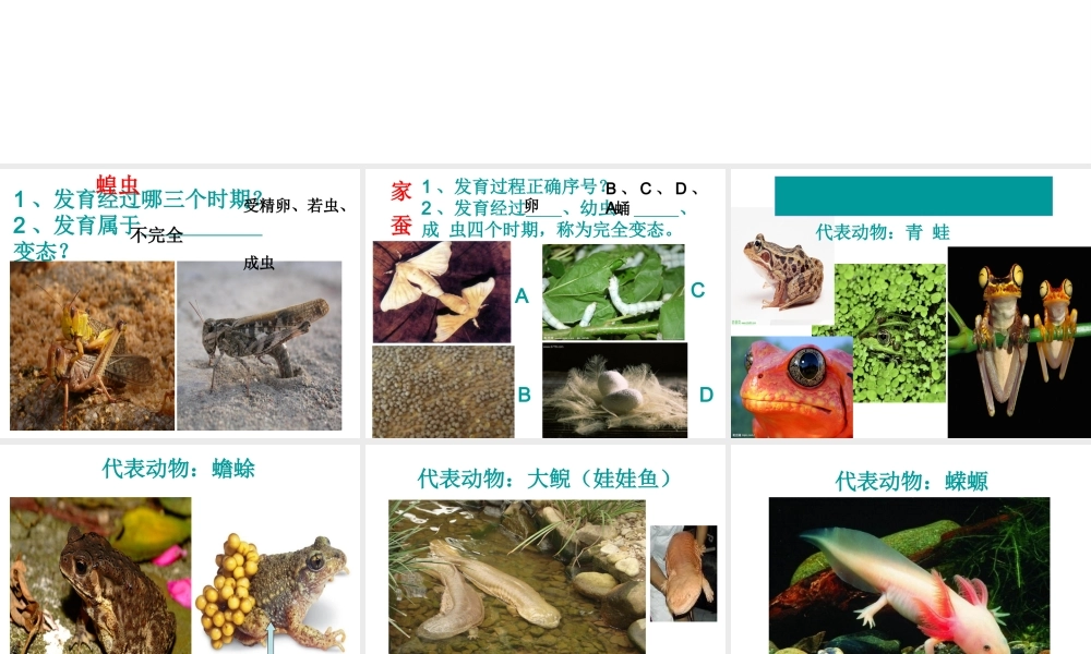 八年级生物上册 19.2 动物的生殖和发育复习课件 （新版）北师大版-（新版）北师大版初中八年级上册生物课件