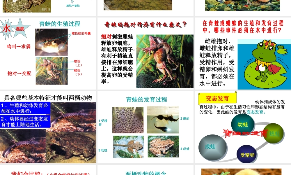八年级生物上册 19.2 动物的生殖和发育复习课件 （新版）北师大版-（新版）北师大版初中八年级上册生物课件