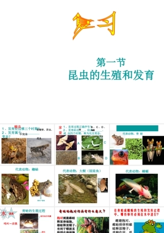 八年级生物上册 19.2 动物的生殖和发育复习课件 （新版）北师大版-（新版）北师大版初中八年级上册生物课件