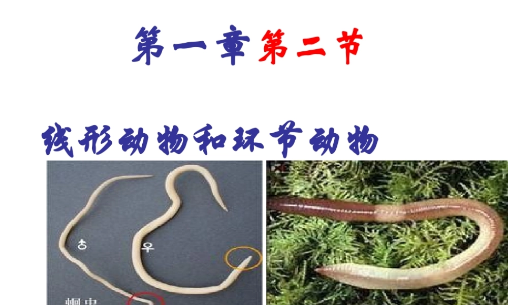 八年级生物上册 5.1.2 线形动物和环节动物课件（2） （新版）新人教版