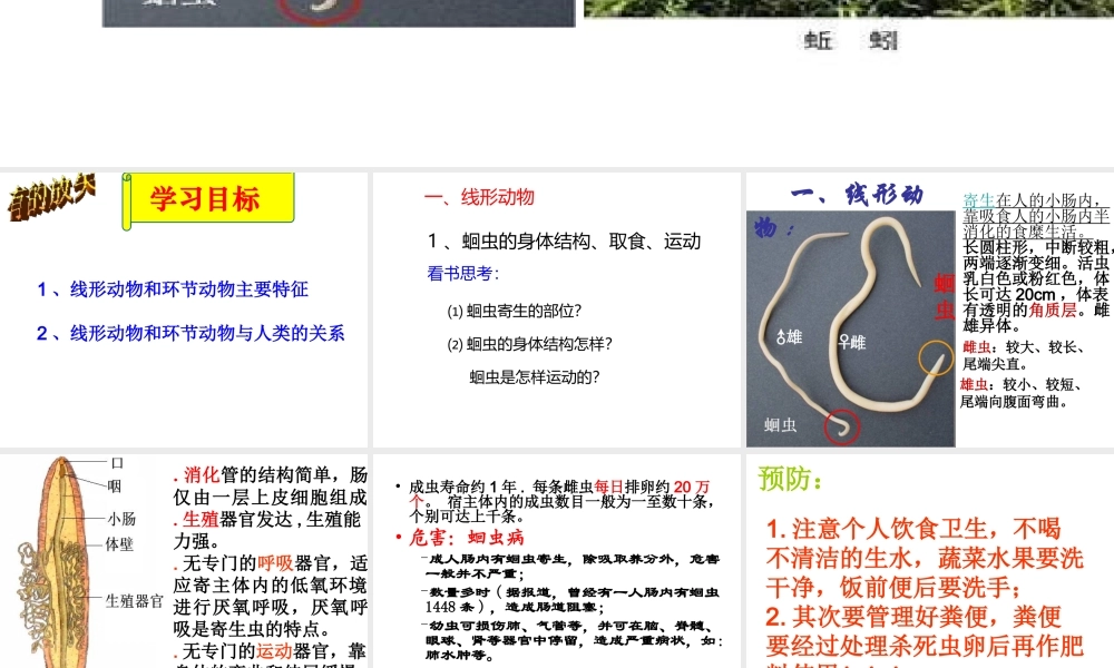 八年级生物上册 5.1.2 线形动物和环节动物课件（2） （新版）新人教版