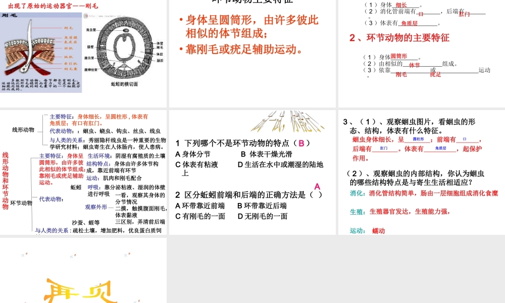 八年级生物上册 5.1.2 线形动物和环节动物课件（2） （新版）新人教版