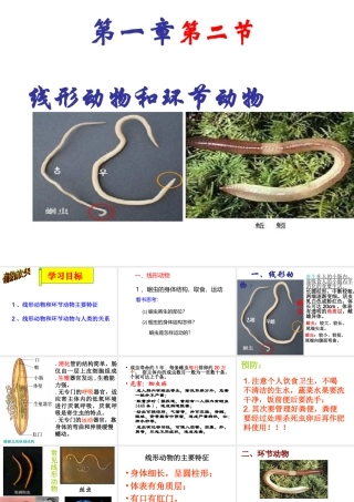 八年级生物上册 5.1.2 线形动物和环节动物课件（2） （新版）新人教版