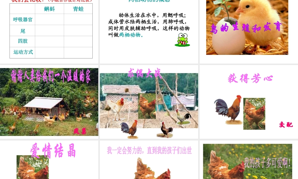 八年级生物上册 19.2 动物的生殖和发育复习课件 （新版）北师大版-（新版）北师大级上册生物课件