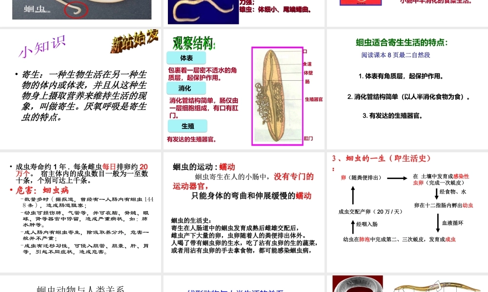 八年级生物上册 5.1.2 线形动物和环节动物课件（3） （新版）新人教版