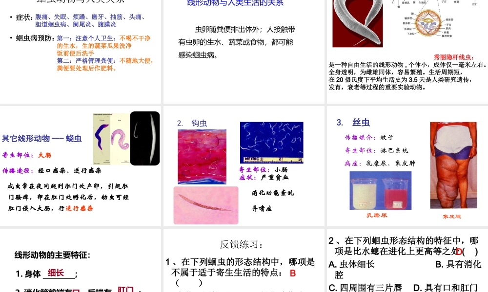 八年级生物上册 5.1.2 线形动物和环节动物课件（3） （新版）新人教版