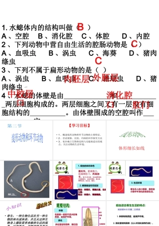 八年级生物上册 5.1.2 线形动物和环节动物课件（3） （新版）新人教版