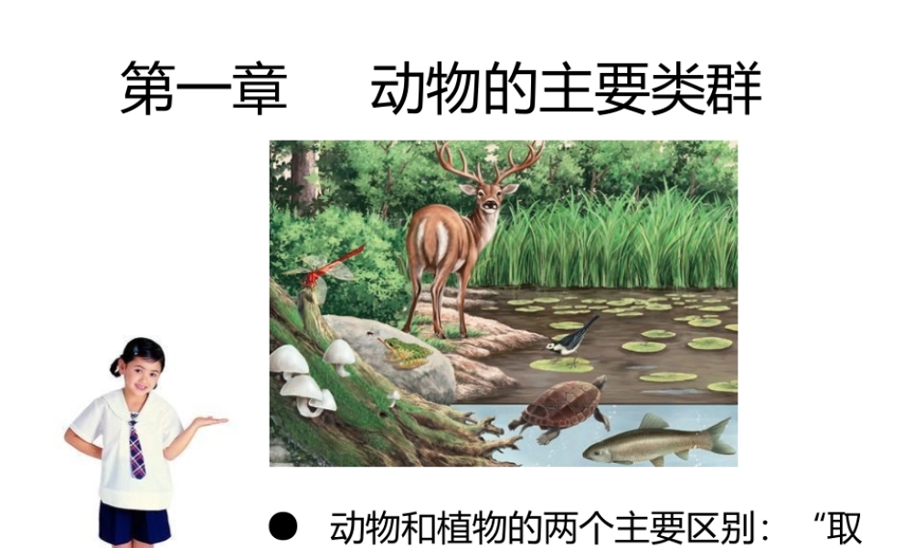 八年级生物上册 5.1.2 线形动物和环节动物课件（4） （新版）新人教版