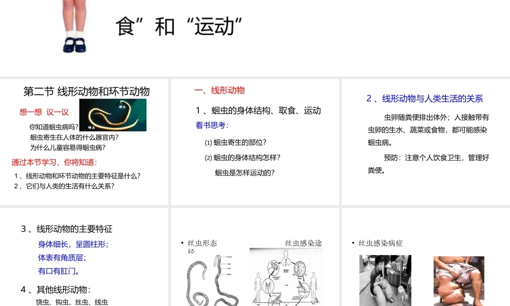 八年级生物上册 5.1.2 线形动物和环节动物课件（4） （新版）新人教版