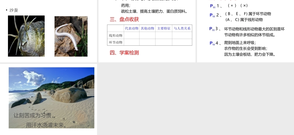 八年级生物上册 5.1.2 线形动物和环节动物课件（4） （新版）新人教版