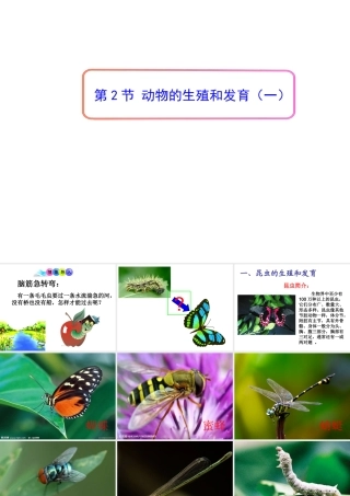 八年级生物上册 19.2 动物的生殖和发育课件 （新版）北师大版-（新版）北师大版初中八年级上册生物课件