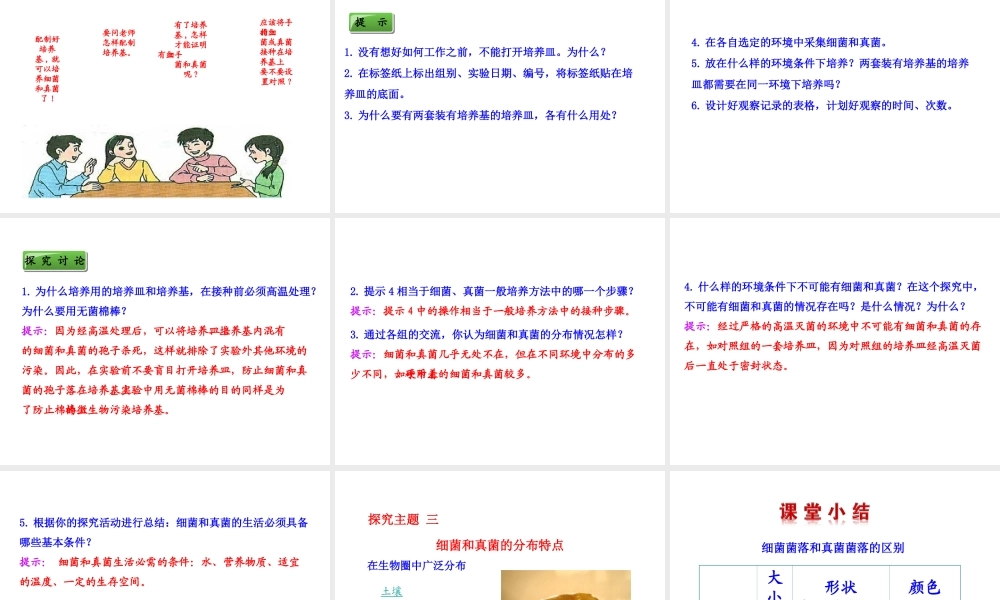 八年级生物上册 5.4.1 细菌和真菌的分布课件 （新版）新人教版
