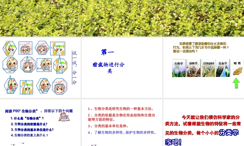 八年级生物上册 6.1.1尝试对生物进行分类课件 人教新课标版