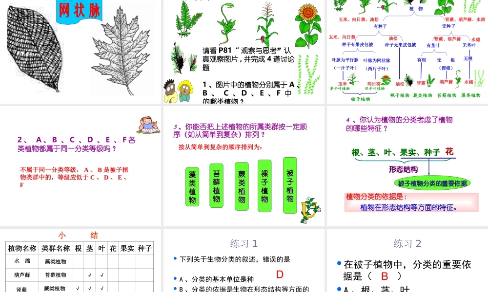 八年级生物上册 6.1.1尝试对生物进行分类课件 人教新课标版