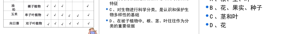 八年级生物上册 6.1.1尝试对生物进行分类课件 人教新课标版