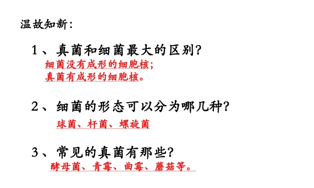 八年级生物上册 5.1 细菌和真菌在自然界中的作用课件 人教新课标版