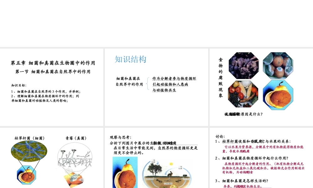 八年级生物上册 5.1 细菌和真菌在自然界中的作用课件 人教新课标版