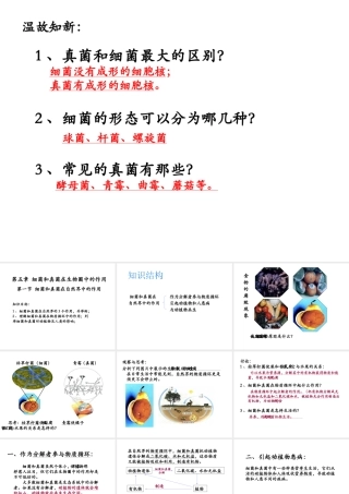 八年级生物上册 5.1 细菌和真菌在自然界中的作用课件 人教新课标版