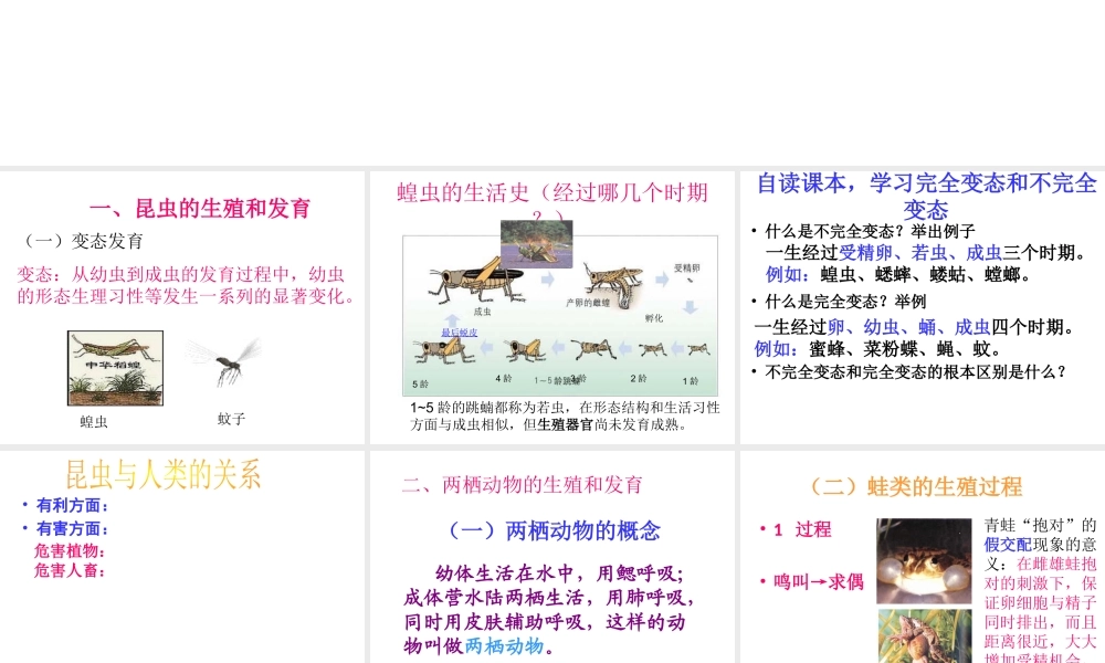 八年级生物上册 19.2 昆虫的生殖和发育课件 北师大版