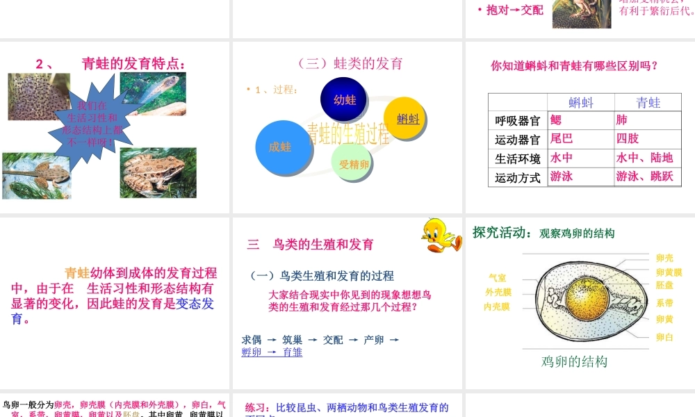 八年级生物上册 19.2 昆虫的生殖和发育课件 北师大版