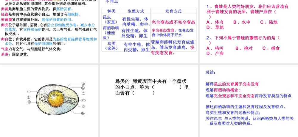 八年级生物上册 19.2 昆虫的生殖和发育课件 北师大版