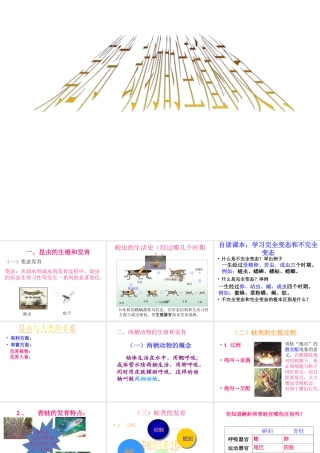 八年级生物上册 19.2 昆虫的生殖和发育课件 北师大版