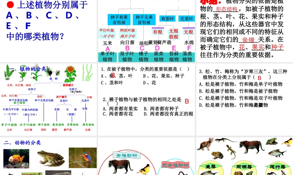 八年级生物上册 6.1.1尝试对生物进行分类课件 新人教版
