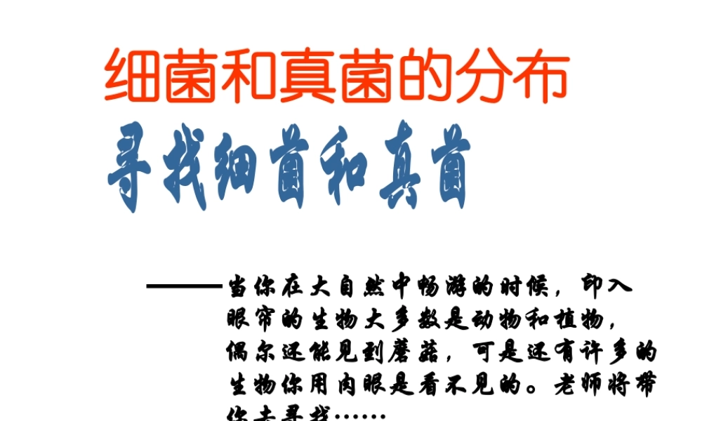 八年级生物上册 5.4.1 细菌和真菌的分布课件1 （新版）新人教版