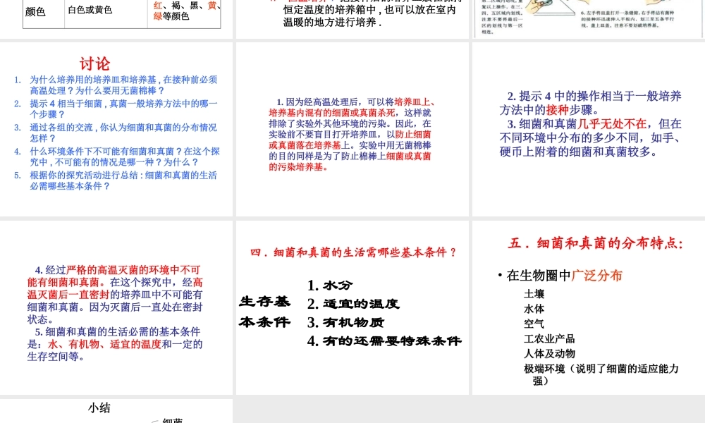八年级生物上册 5.4.1 细菌和真菌的分布课件1 （新版）新人教版