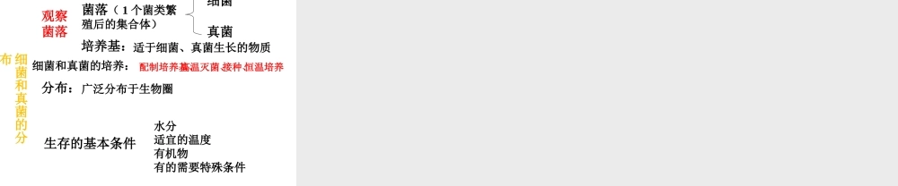 八年级生物上册 5.4.1 细菌和真菌的分布课件1 （新版）新人教版