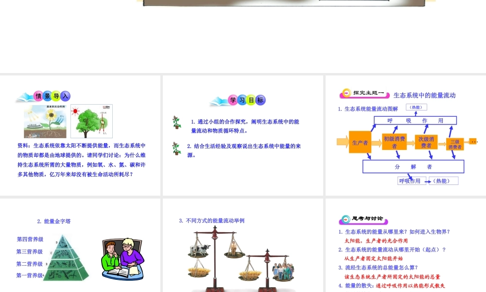 八年级生物上册 19.2 生态系统中的能量流动和物质循环课件 （新版）苏教版-（新版）苏教版初中八年级上册生物课件