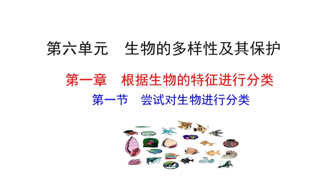 八年级生物上册 6.1.2 尝试对生物进行分类课件 （新版）新人教版