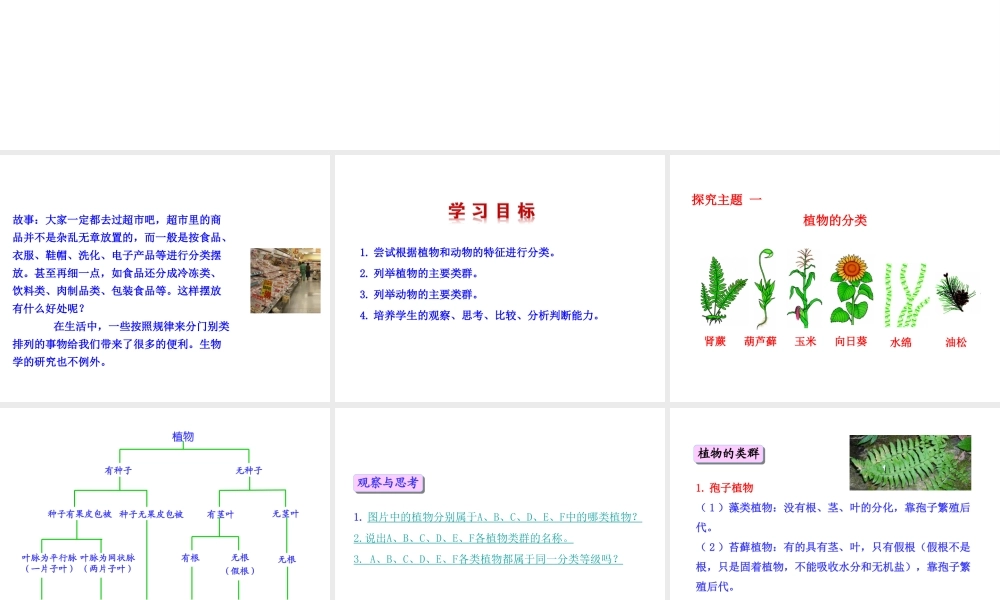 八年级生物上册 6.1.2 尝试对生物进行分类课件 （新版）新人教版