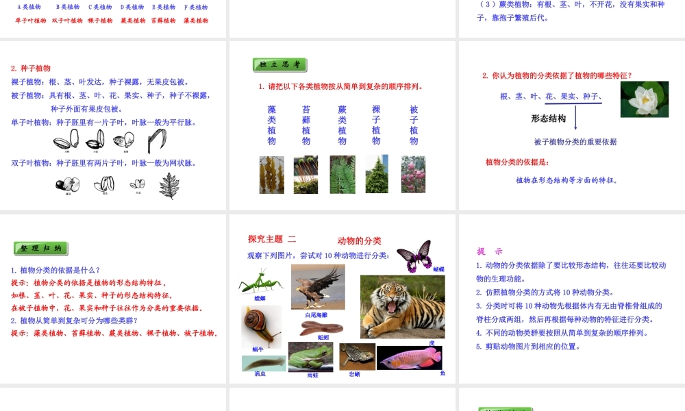 八年级生物上册 6.1.2 尝试对生物进行分类课件 （新版）新人教版